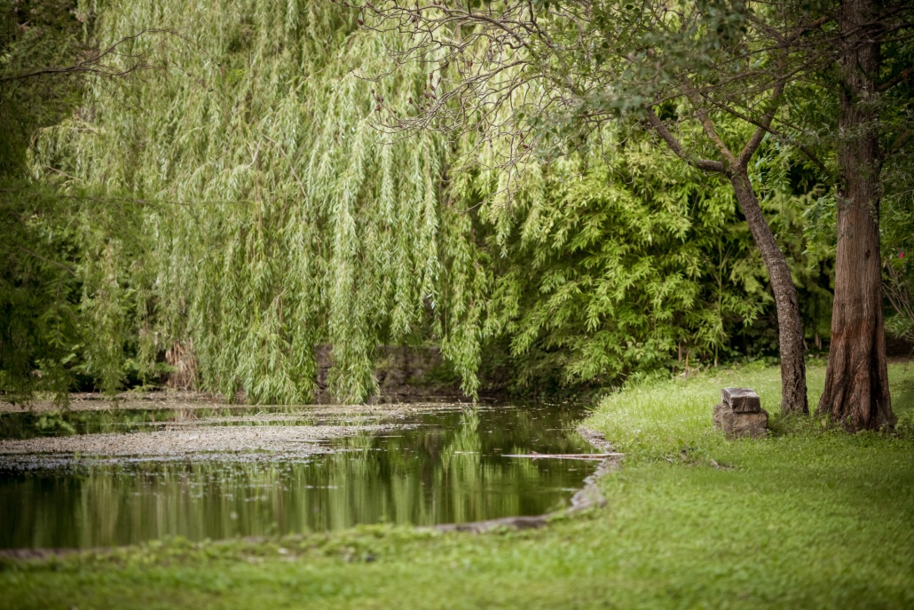 Le Moulin de Gémenos entouré de verdure